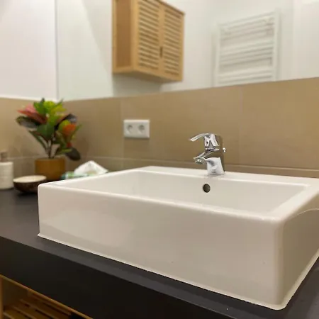 Apartmentrosa12 - Tor Zur Saechsischen Schweiz! Neu, Zentral Mit Parkplatz Und Terrasse!