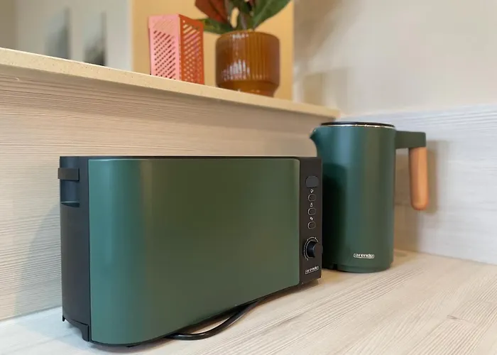 Apartmentrosa12 - Tor Zur Saechsischen Schweiz! Neu, Zentral Mit Parkplatz Und Terrasse! * Pirna