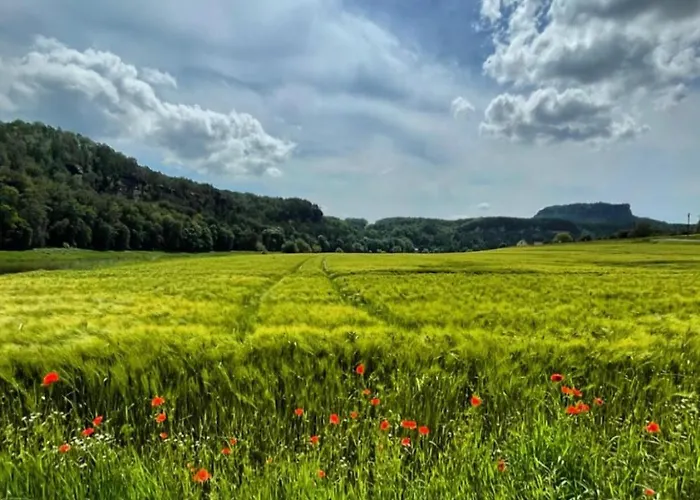 Apartmentrosa12 - Tor Zur Saechsischen Schweiz! Neu, Zentral Mit Parkplatz Und Terrasse! Pirna